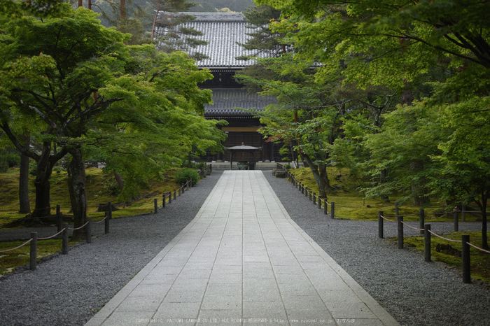 南禅寺,新緑(SDIM0048,35mm,F2)2014yaotomi_.jpg