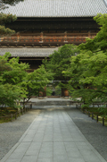 南禅寺,新緑(SDIM0052,35mm,F6.3,FULL)2014yaotomi_.jpg