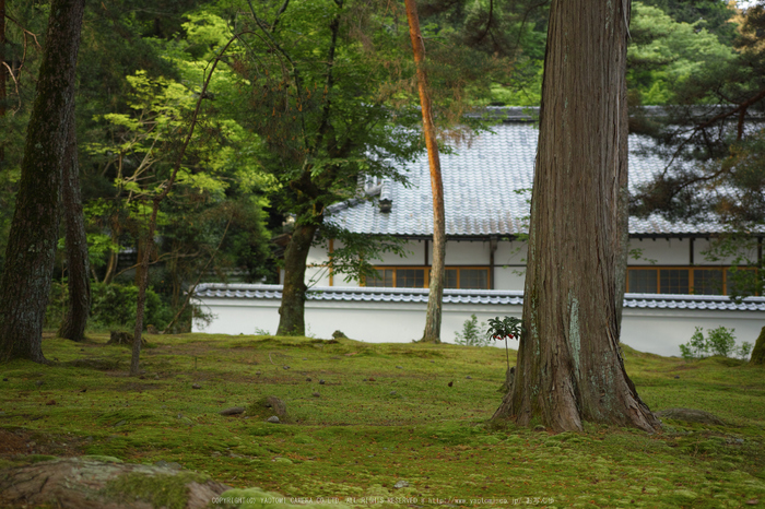 南禅寺,新緑(SDIM0056,--mm,F--)2014yaotomi_.jpg