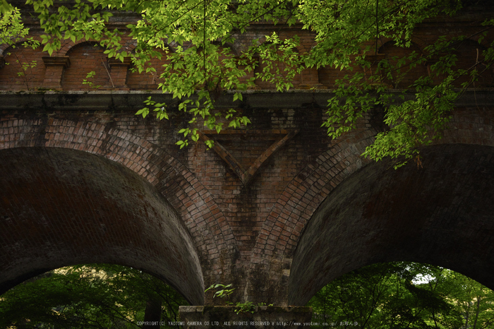 南禅寺,新緑(SDIM0104,29mm,F2)2014yaotomi_.jpg