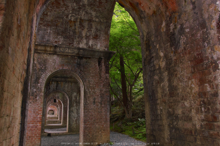 南禅寺,新緑(SDIM0111,18mm,F4.5)2014yaotomi_.jpg