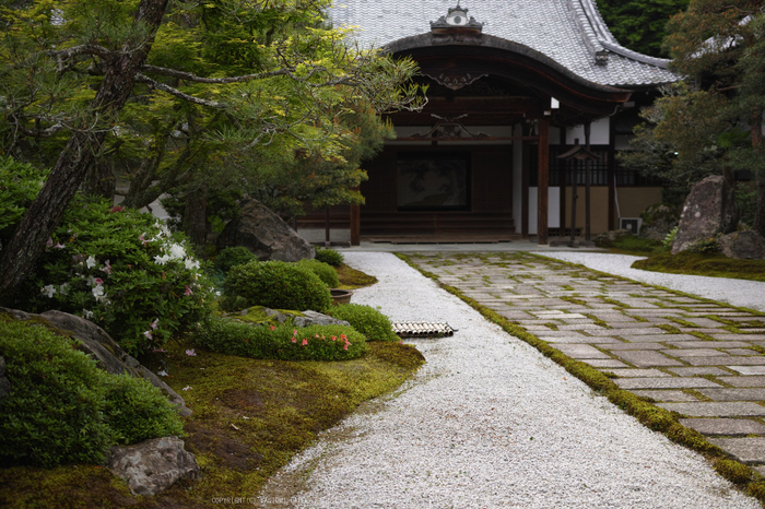 南禅寺,新緑(SDIM0140,29mm,F2)2014yaotomi_.jpg