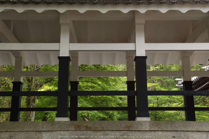 南禅寺,新緑(SDIM0149,--mm,F--)2014yaotomi_.jpg