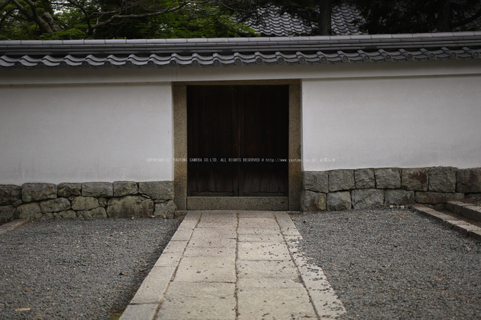 南禅寺,新緑(SDIM0153,35mm,F1.8,FULL)2014yaotomi_.jpg