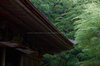 室生寺,石楠花(DSCF5958,F7.1,55mm,FULL)2014yaotomi_.jpg