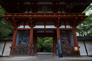 室生寺,石楠花(DSCF6148,F9,13.8mm)2014yaotomi_.jpg