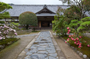 室生寺,石楠花(DSCF6169,F4.5,18mm)2014yaotomi_.jpg