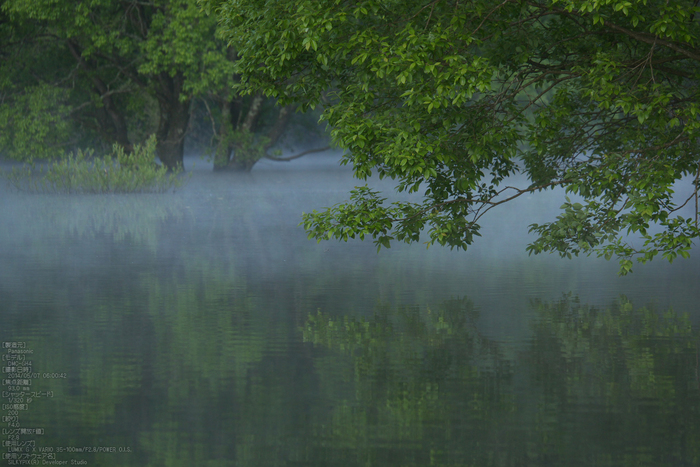 室生湖,新緑(P1120412,93mm,F4,0)2014yaotomi_s.jpg