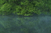 室生湖,新緑(P1120427,54mm,F5,0,FULL)2014yaotomi_.jpg