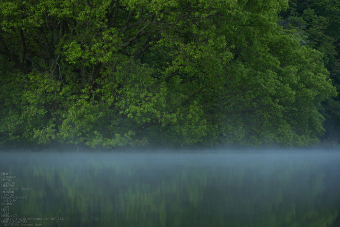 室生湖,新緑(P1120437,51mm,F3,2)2014yaotomi_s.jpg