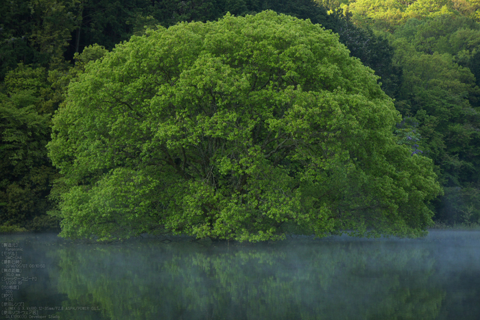 室生湖,新緑(P1120441,30mm,F5,0)2014yaotomi_s.jpg