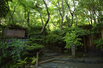 祇王寺,新緑(SDIM0436,F--)2014yaotomi_.jpg