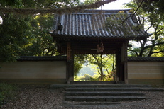 長岳寺,つつじ(P1120454,24mm,F2,8)2014yaotomi_.jpg