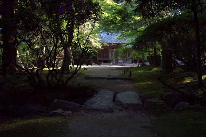 長岳寺,つつじ(P1120587,15mm,F1,7)2014yaotomi_.jpg