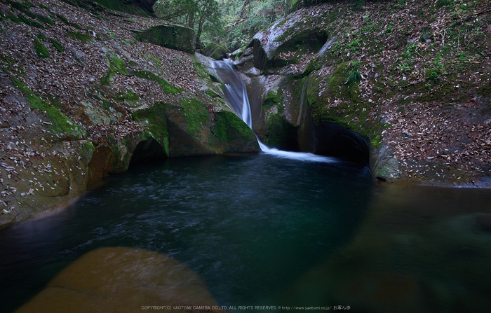 龍鎮滝,新緑(P1040335,F8)2014yaotomi_.jpg