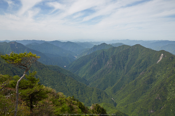 大台ケ原,新緑(5J7C0019,F7.1)2014yaotomi_.jpg