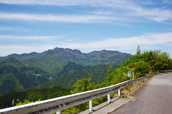 大台ケ原,新緑(5J7C0185,35mm,F11)2014yaotomi_.jpg