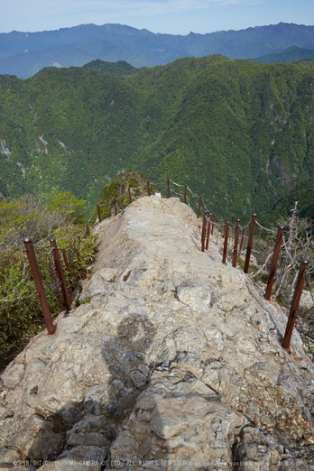 大台ヶ原,新緑(5J7C0004,24mm,F9)2014yaotomi_.jpg