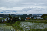 御所葛城,6月(SDIM0021,F5.6)2014yaotomi_.jpg