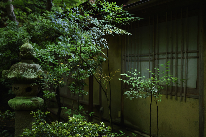 祇王寺,新緑(SDIM0514,35mm,F1.8)2014yaotomi_.jpg