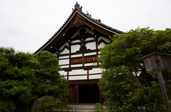 等持院,さつき(5J7C0467,24mm,F8)2014yaotomi_.jpg