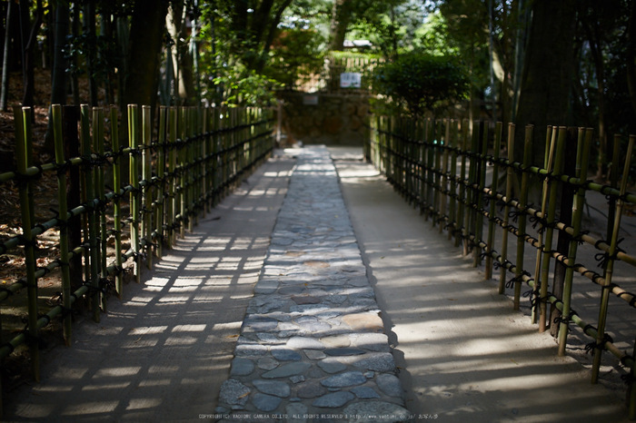 詩仙堂,さつき(5J7C0194,35mm,F1.4)2014yaotomi_.jpg