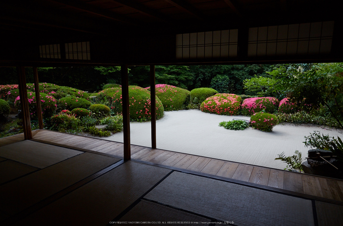 詩仙堂,さつき(5J7C0219,24mm,F8)2014yaotomi_.jpg