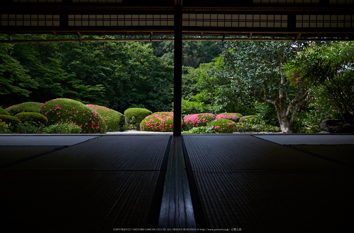 詩仙堂,さつき(5J7C0222,24mm,F8)2014yaotomi_.jpg