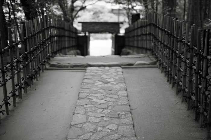 詩仙堂,さつき(5J7C0366,50mm,F1.4)2014yaotomi_.jpg