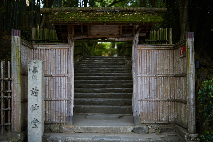 詩仙堂,さつき(5J7C0373,50mm,F1.4)2014yaotomi_.jpg