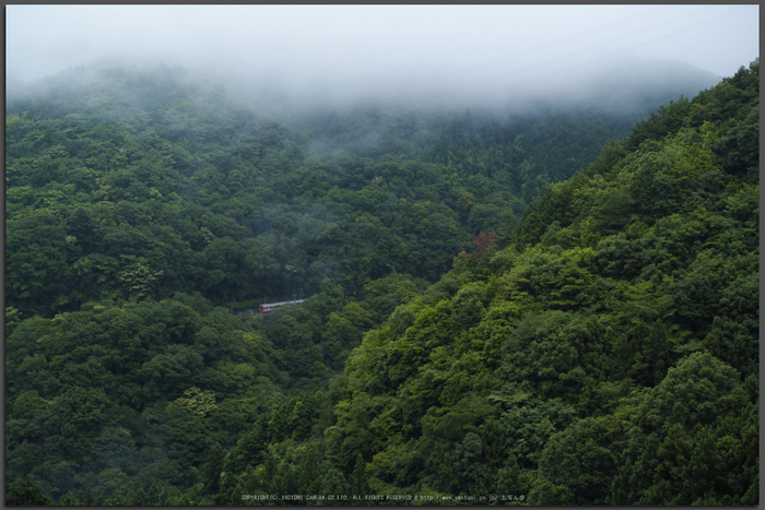 高野山,6月(SDIM0058,F3.5)2014yaotomi_Top.jpg