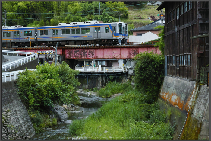 高野山,6月(SDIM0257,F3.5)2014yaotomi_Top.jpg