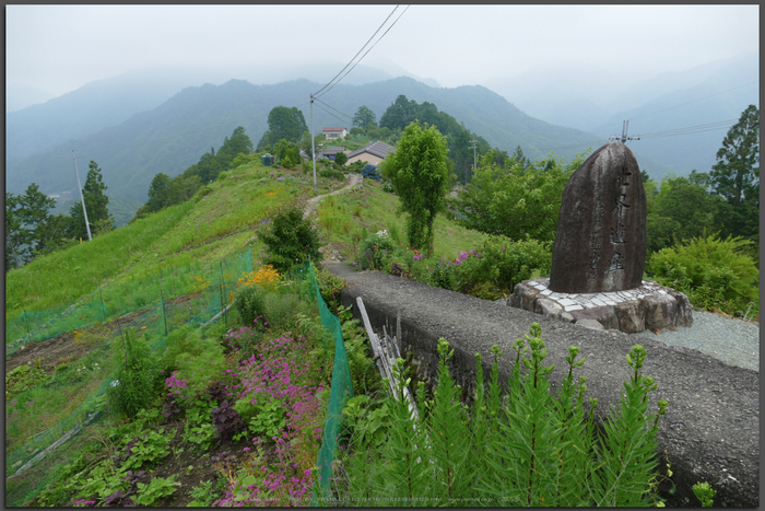 小辺路,果無,初夏(FZ1000,P1000212,9.12mm,F4.5)2014yaotomi_Top.jpg