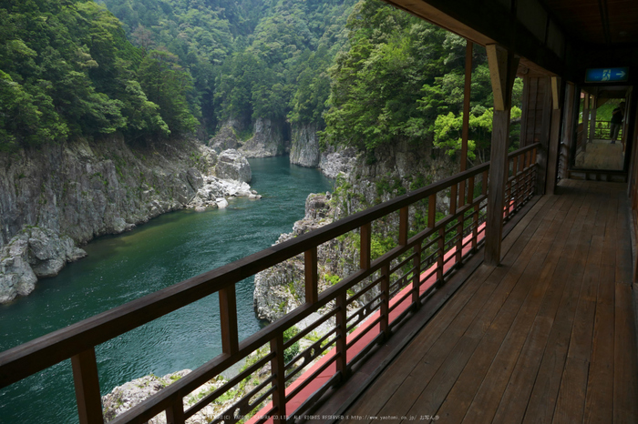 瀞ホテル,初夏(FZ1000,P1000429_F4_9.12mm)2014yaotomi_.jpg