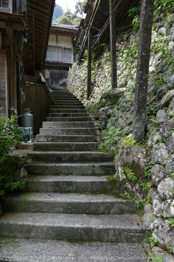 瀞ホテル,初夏(FZ1000,P1000499_F4_9.12mm)2014yaotomi_.jpg