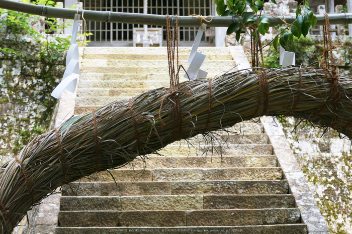 玉置神社,茅の輪(FZ1000,P1000351_F4_27.88mm)2014yaotomi_.jpg