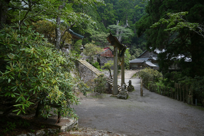 玉置神社,茅の輪(FZ1000,P1000357,9.12mm,F4)2014yaotomi_.jpg