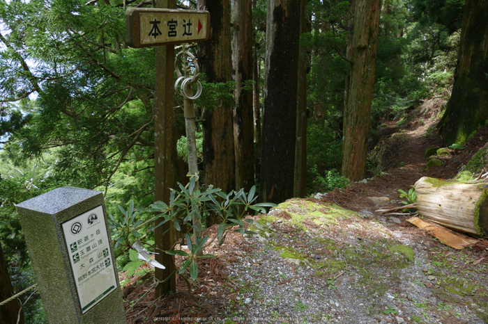 玉置神社,茅の輪(FZ1000,P1000383_F4.5_9.12mm)2014yaotomi_.jpg