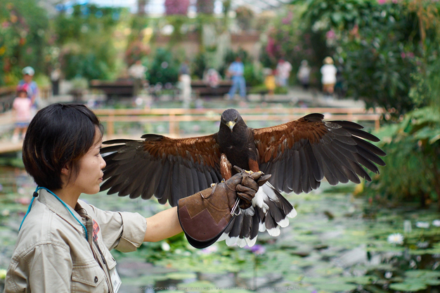 神戸どうぶつ王国,夏(P7210076,50mm,OMD,EM1)2014yaotomi_.jpg