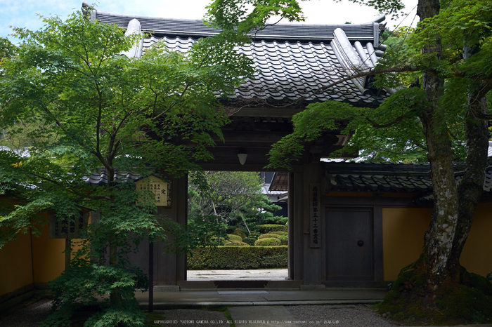 西明寺,湖東三山(DSCF6916,F4,XT1)2014yaotomi_.jpg