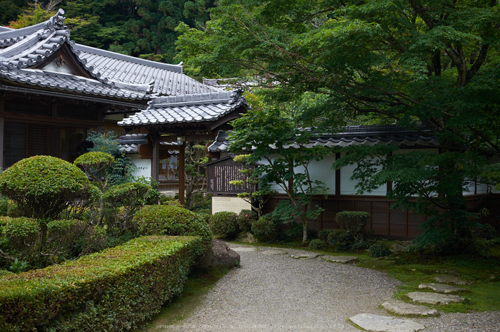 西明寺,湖東三山(DSCF6919,F4,XT1)2014yaotomi_.jpg