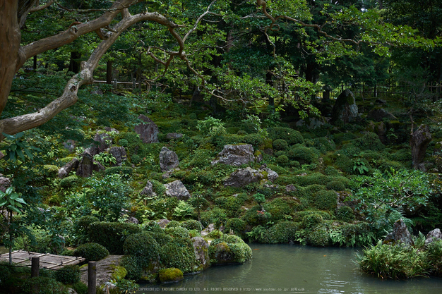 西明寺,湖東三山(DSCF6921,F4,XT1)2014yaotomi_.jpg