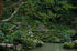 西明寺,湖東三山(DSCF6921,F4,XT1,FULL)2014yaotomi_.jpg