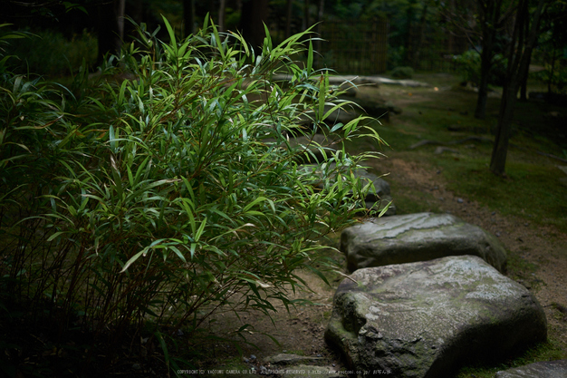 西明寺,湖東三山(DSCF6928,F2.8,XT1)2014yaotomi_.jpg