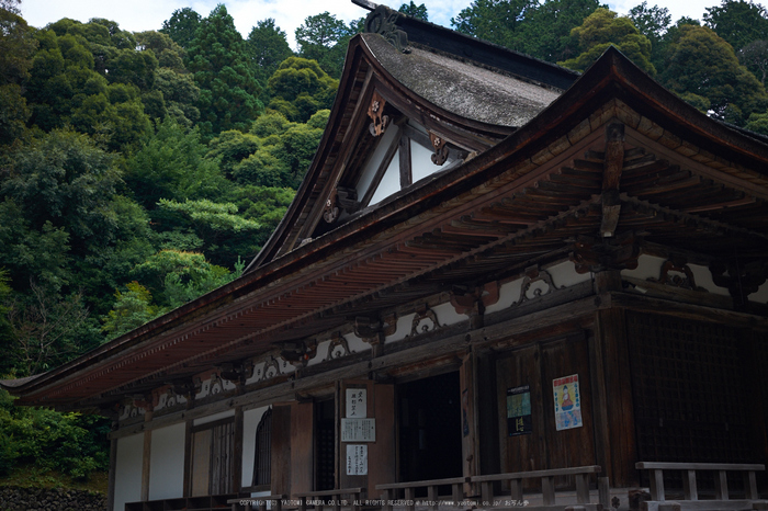 西明寺,湖東三山(DSCF6931,F2.8,XT1)2014yaotomi_.jpg