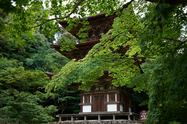 西明寺,湖東三山(DSCF6941,F2.8,XT1)2014yaotomi_.jpg