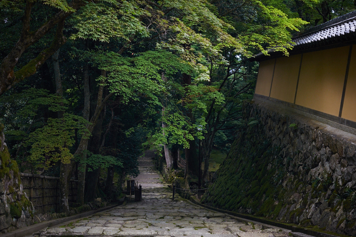 西明寺,湖東三山(DSCF6948,F2.8,XT1)2014yaotomi_.jpg