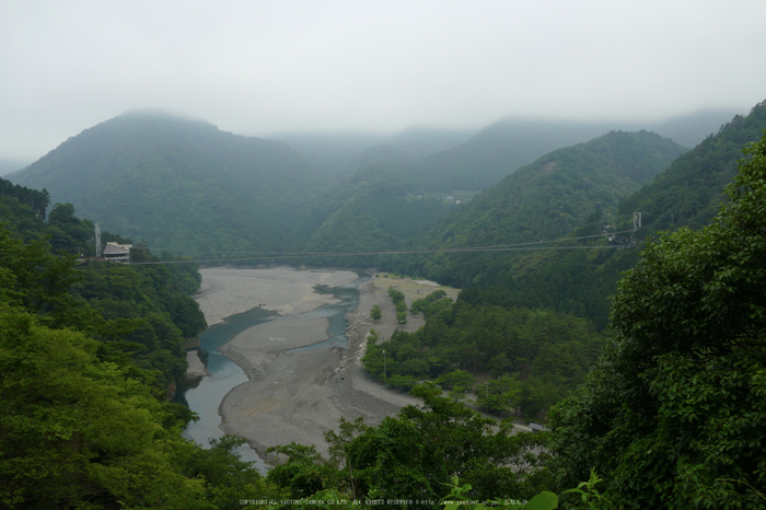 谷瀬の吊橋,初夏(FZ1000,P1000164_F4_10.6mm)2014yaotomi_.jpg