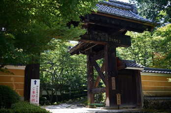 金剛輪寺,あじさい(DSCF6721,F3.6,XT1)2014yaotomi_.jpg