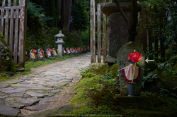 金剛輪寺,あじさい(DSCF6736,F2.8,XT1)2014yaotomi_ps.jpg